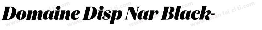 Domaine Disp Nar Black字体转换